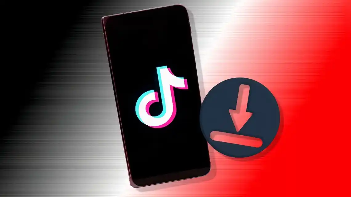 How to download Tiktok videos with online Tiktok downloader