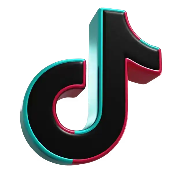 Tiktok Video Downloader